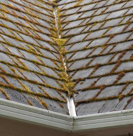 Roof Cleaning Services Salem