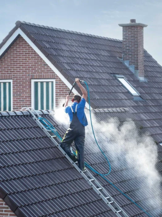Best roof cleaning company Salem